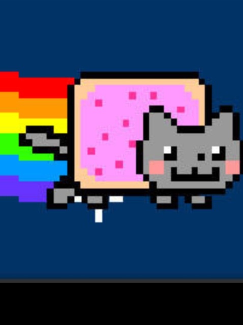 478x640 How To Make A Nyan Cat Poptart Bag - Nyan Cat Drawing
