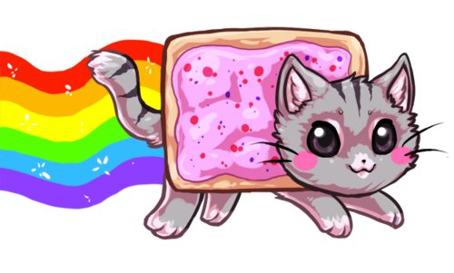 500x301 Nyan Cat Images Nyan Cat Wallpaper And Background Photos - Nyan Cat Drawing