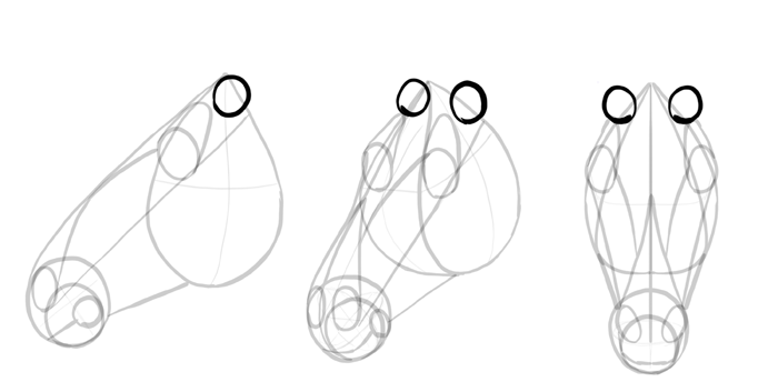 700x353 How To Draw Horses Step - O Drawing