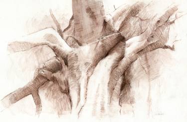 375x246 old oak drawings for sale saatchi art - Oak Drawings