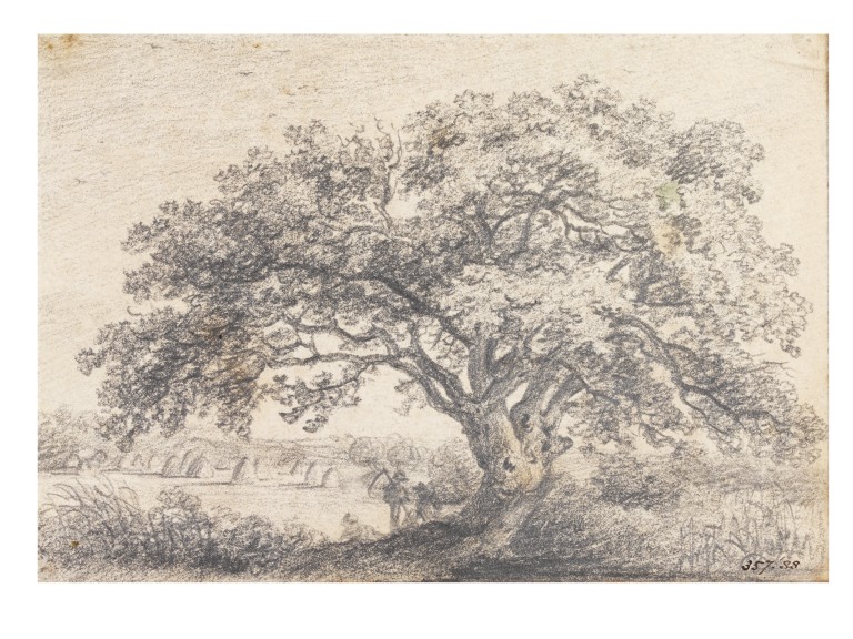 768x576 an oak tree in a hayfield john constable vampa search - Oak Drawings