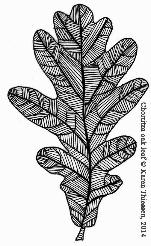 504x821 day day out studio series chortitza oak leaf drawings - Oak Drawings