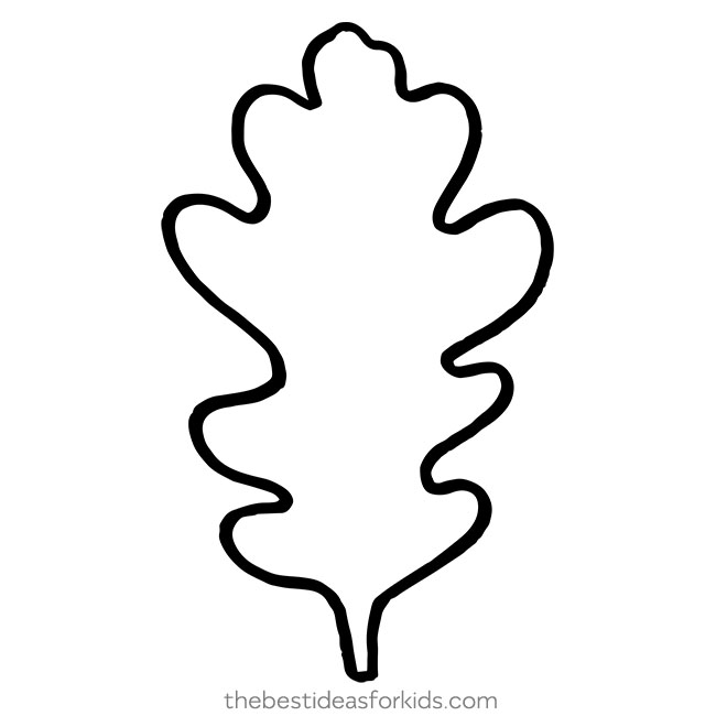 650x650 Leaf Template - Oak Leaf Drawing