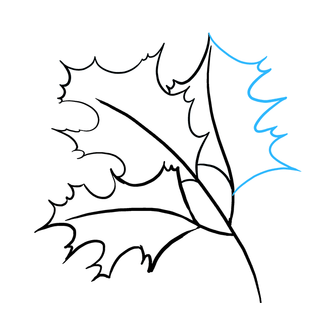 680x678 how to draw fall oak leaves - Oak Leaf Drawing