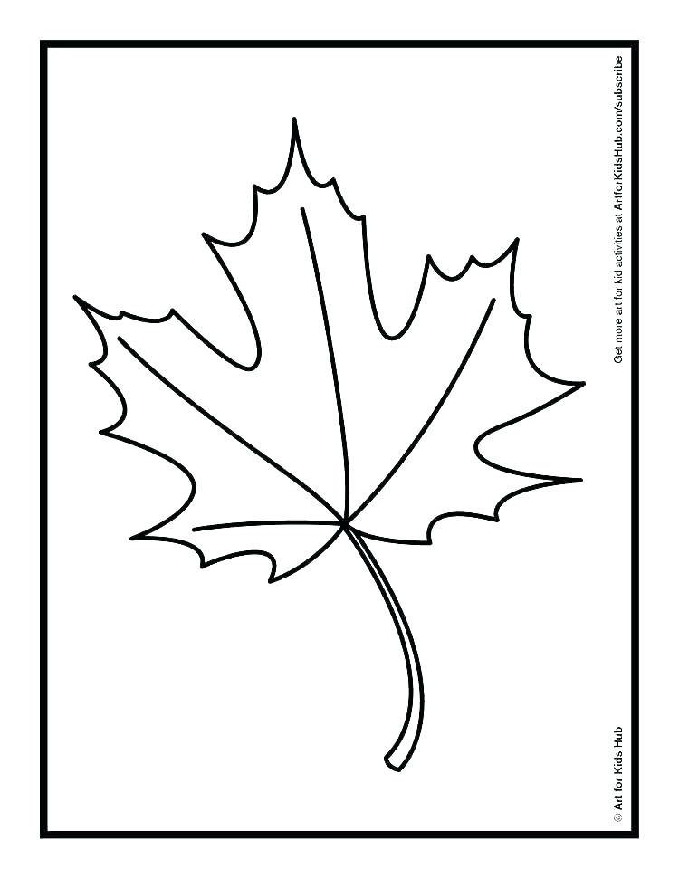 Oak Leaf Drawing Template
