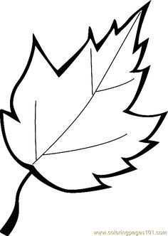 236x332 oak leaf coloring - Oak Leaf Drawing Template