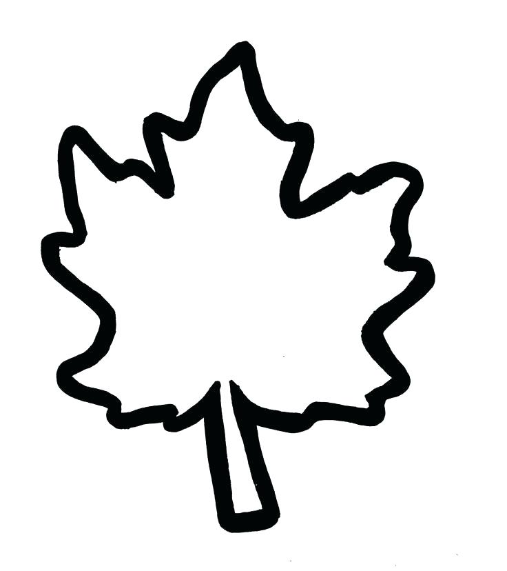 736x828 autumn leaf templates template gratis best photos of oak leaf - Oak Leaf Drawing Template