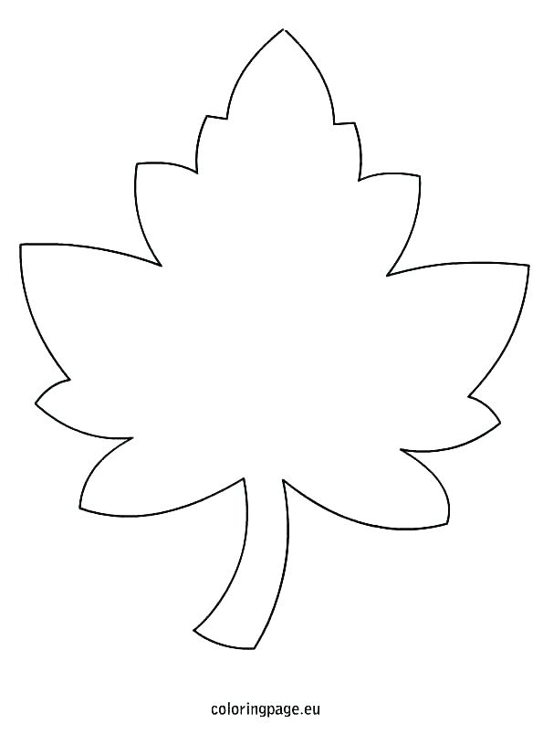 Oak Leaf Drawing Template at PaintingValley.com | Explore collection of