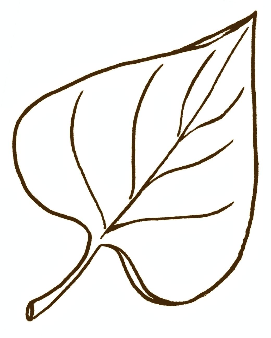 1040x1296 oak leaf template to print - Oak Leaf Drawing Template