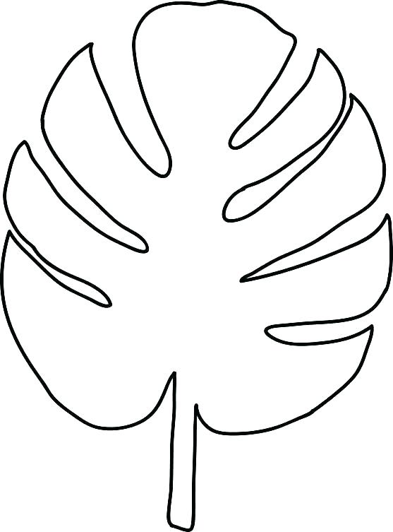 Oak Leaf Drawing Template at PaintingValley.com | Explore collection of ...