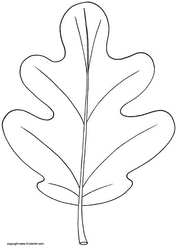 Oak Leaf Drawing Template at PaintingValley.com | Explore collection of