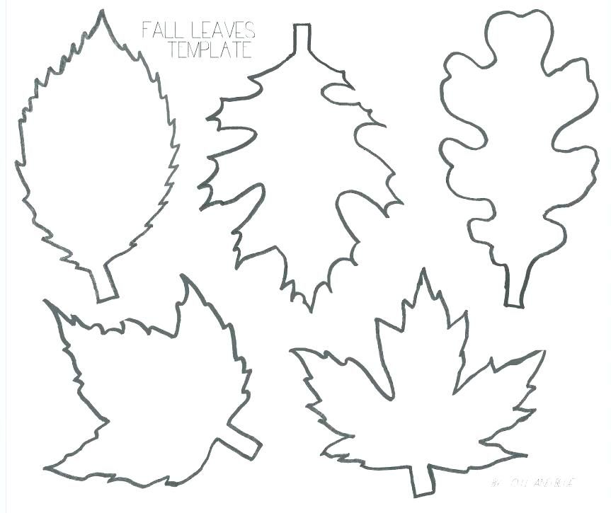863x725 oak leaf outline enchanting leaf outlines also oil and blue fall - Oak Leaf Drawing Template