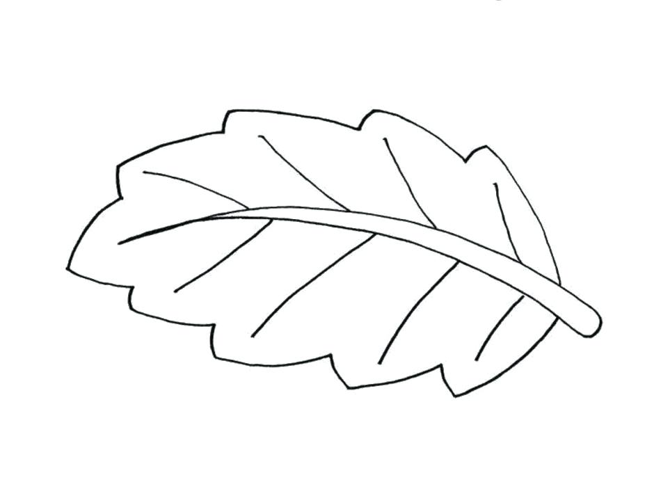 940x716 oak leaf template to print - Oak Leaf Drawing Template