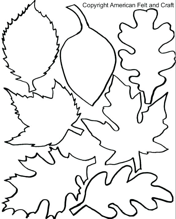 Oak Leaf Drawing Template at PaintingValley.com | Explore collection of