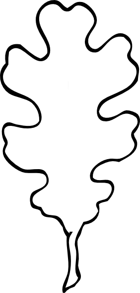 282x589 Oak Tree Leaves - Oak Leaf Drawing Template