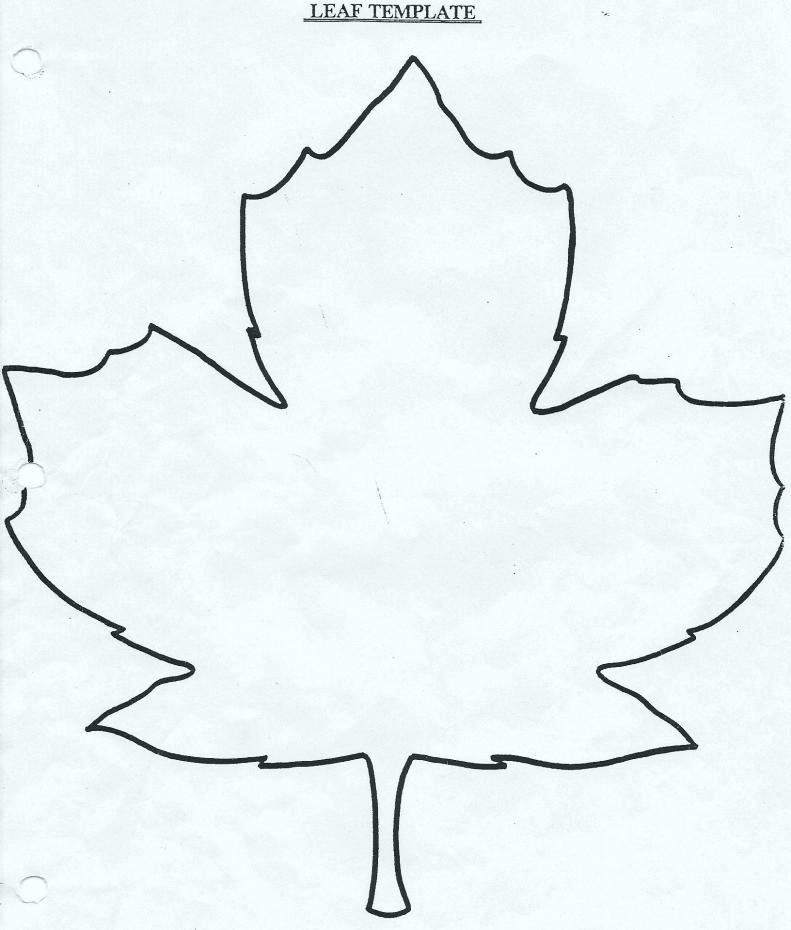 791x930 leaf outline printable leaf coloring template pages of leaves - Oak Leaf Drawing Template