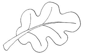 280x183  - Oak Leaf Line Drawing