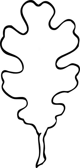 282x589 oak leaf outline clip art templates trees posts - Oak Leaf Line Drawing