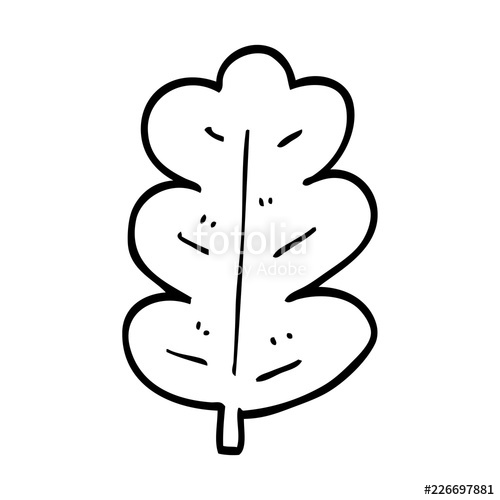 500x500 line drawing cartoon oak leaf stock image and royalty free vector - Oak Leaf Line Drawing