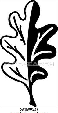 190x370 oak leaf line drawing - Oak Leaf Line Drawing