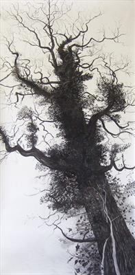 197x400 susan deakin balancing oak tree oak tree - Oak Tree Branch Drawing