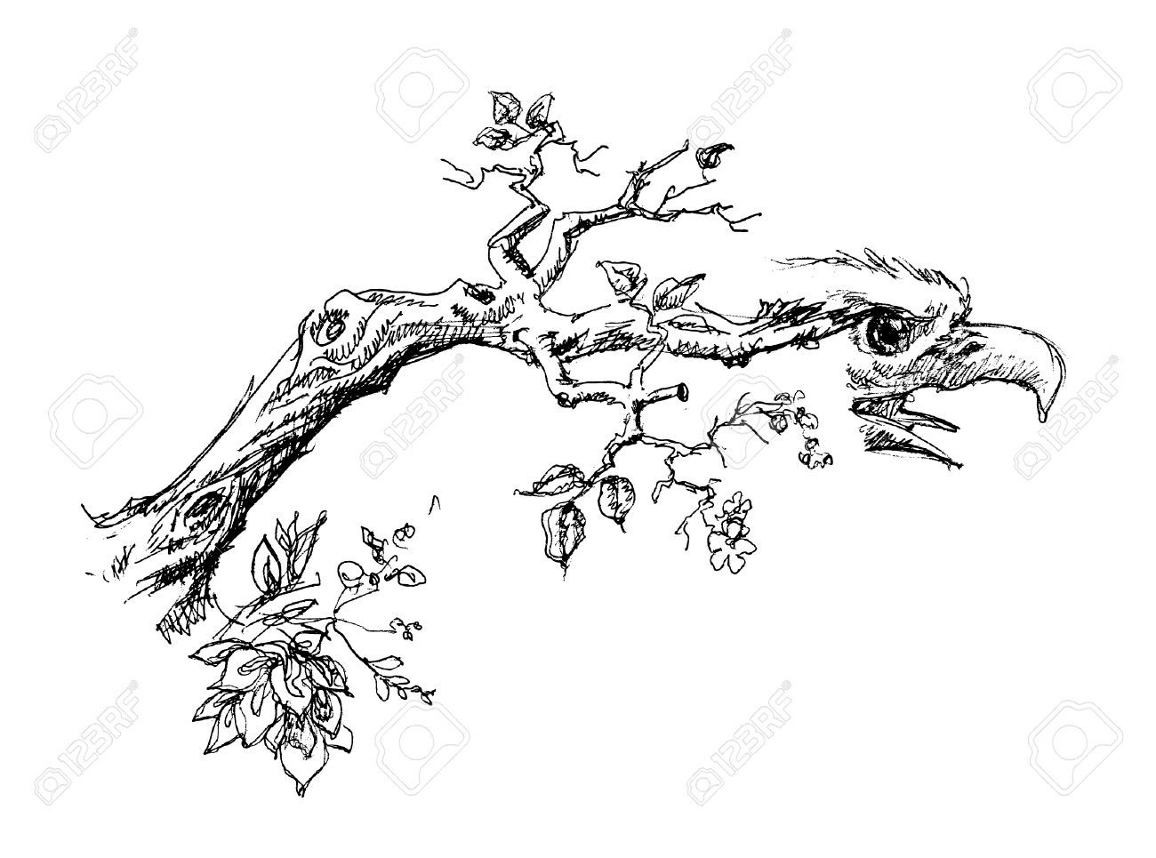 1300x965 Tree Branch With Eagle Head Sketch In How To Draw Realistic - Oak Tree Branch Drawing