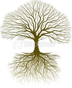 236x288 Oak Tree Drawing With Roots - Oak Tree Branch Drawing