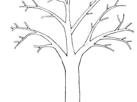 440x330 huge collection of 'bare oak tree drawing' download more than - Oak Tree Drawing