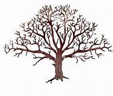 221x188 Pictures Sketches Of Oak Trees - Oak Tree Drawing