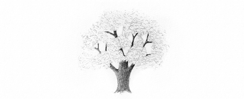 850x346 How To Draw Trees - Oak Tree Leaf Drawing