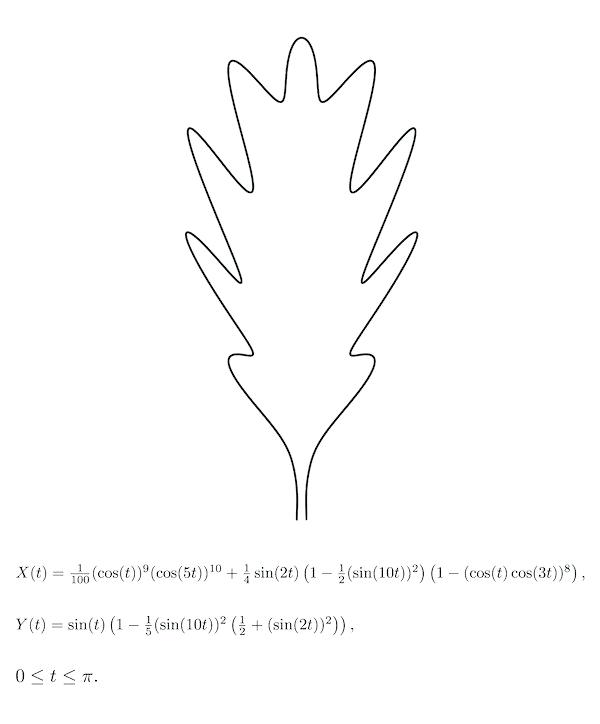 600x724 leaf drawing easy math advertisement oak leaf credit mathpapa app - Oak Tree Leaf Drawing