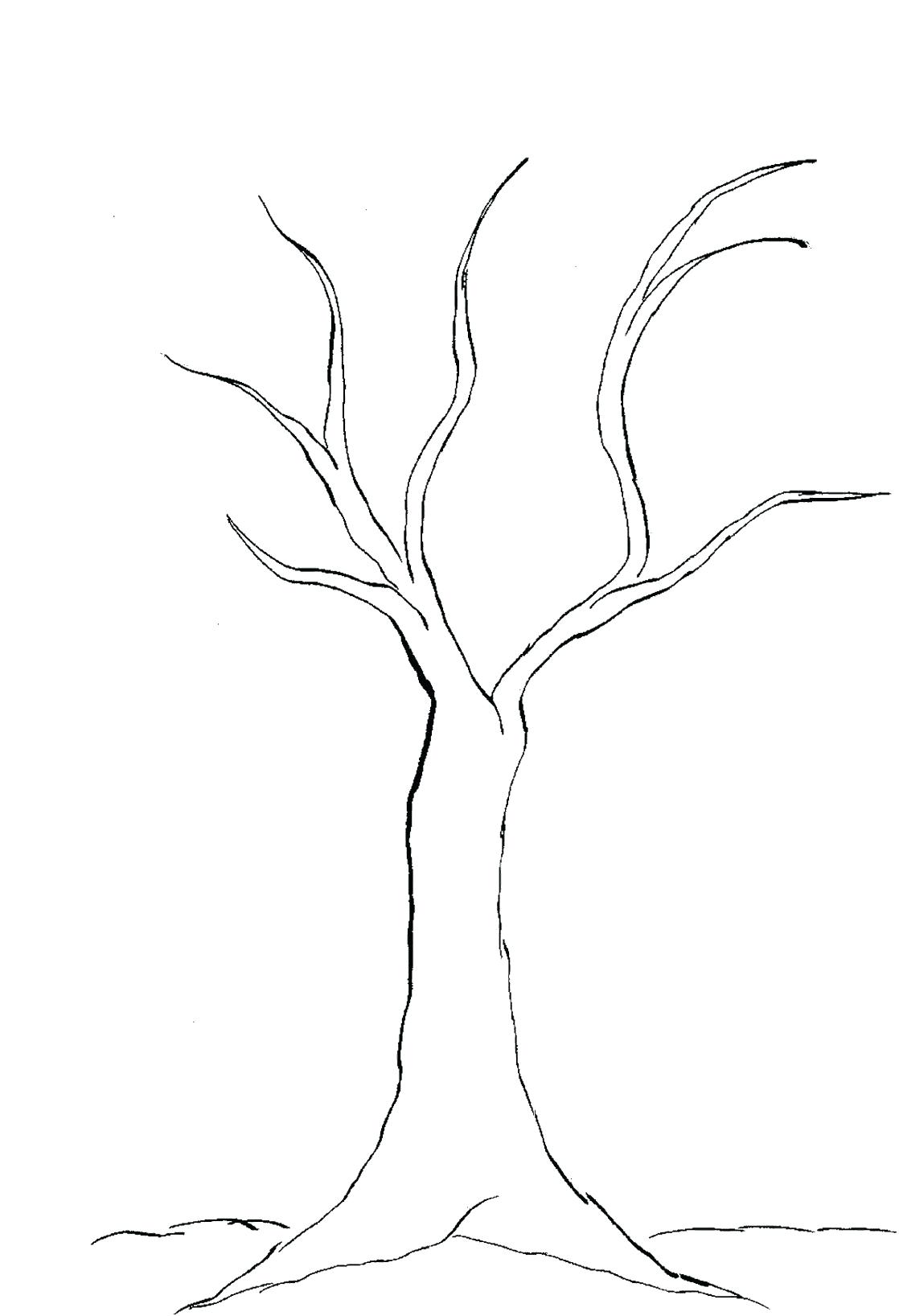 1118x1636 Oak Tree Leaves Coloring Pages Without Sheet Fall - Oak Tree Leaf Drawing