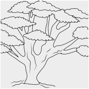 300x300 tree leaves coloring pages lovely drawing of an oak tree leaf - Oak Tree Leaf Drawing