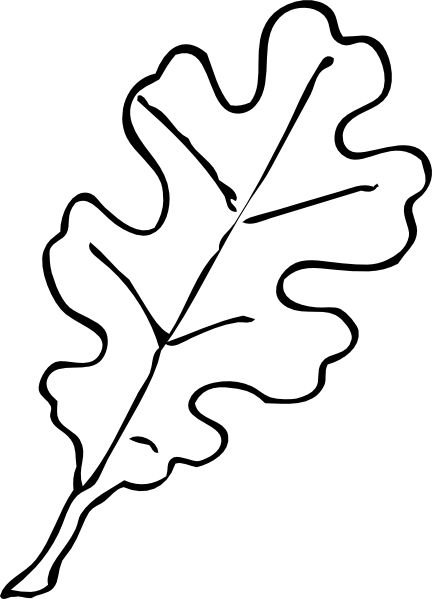 432x599 fall leaf template oak leaf outline clip art - Oak Tree Leaf Drawing