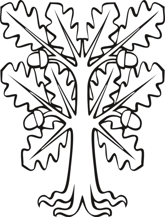 571x750 leaf branch oak tree plant stem cc0 - Oak Tree Line Drawing