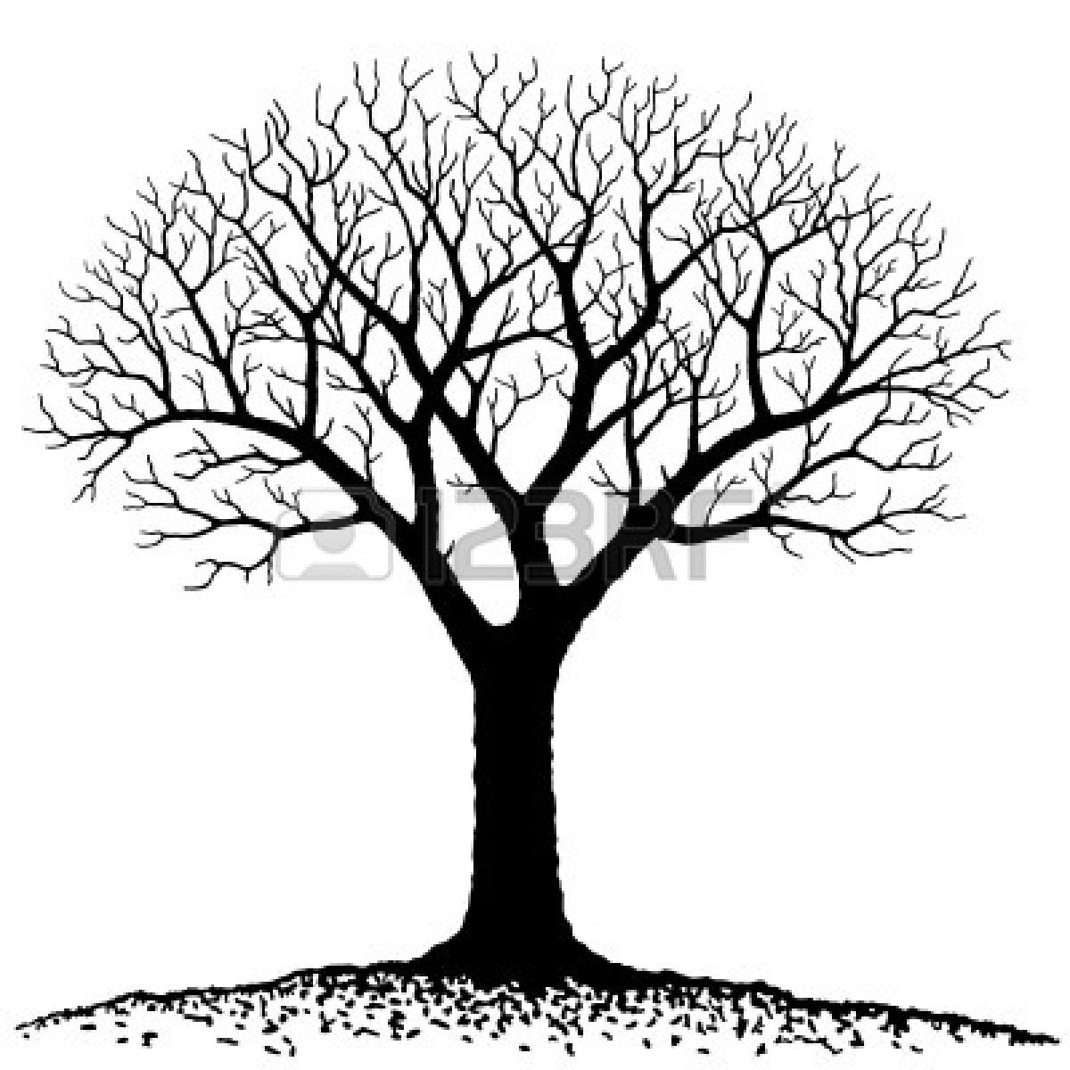 1200x1200 Oak Tree Clip Art Free Ideas And Designs - Oak Tree Line Drawing