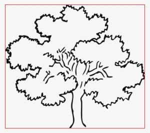 300x266 Tree Drawing Png, Transparent Tree Drawing Png Image Free Download - Oak Tree Line Drawing