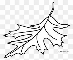 300x246 tree reptile line art clip art - Oak Tree Line Drawing
