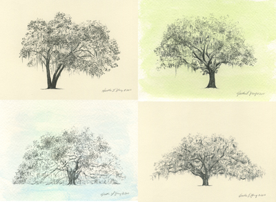 400x292 line drawings flyoung studio - Oak Tree Line Drawing