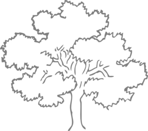 300x267 Grey Oak Tree Clip Art - Oak Tree Line Drawing