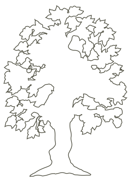539x749 Drawing Tree Silhouette Computer Icons Download Cc0 - Oak Tree Outline Drawing