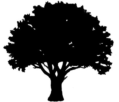 406x348 Free Download Oak Tree Outline Clipart For Your Creation - Oak Tree Outline Drawing