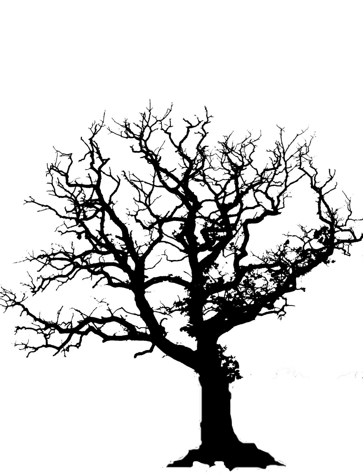 1222x1600 Huge Collection Of 'oak Tree Silhouette Clip Art' Download More - Oak Tree Outline Drawing