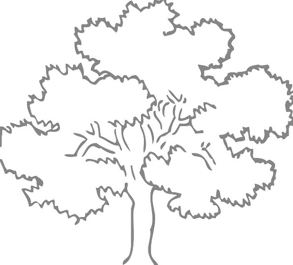 Oak Tree Outline Drawing at PaintingValley.com | Explore collection of ...