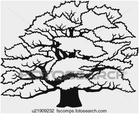 450x370 Oak Tree Coloring - Oak Tree Outline Drawing