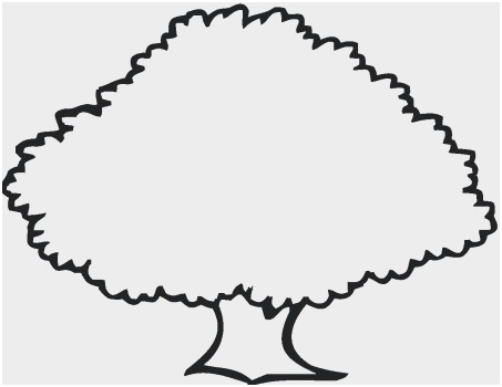 453x350 Oak Tree Coloring - Oak Tree Outline Drawing