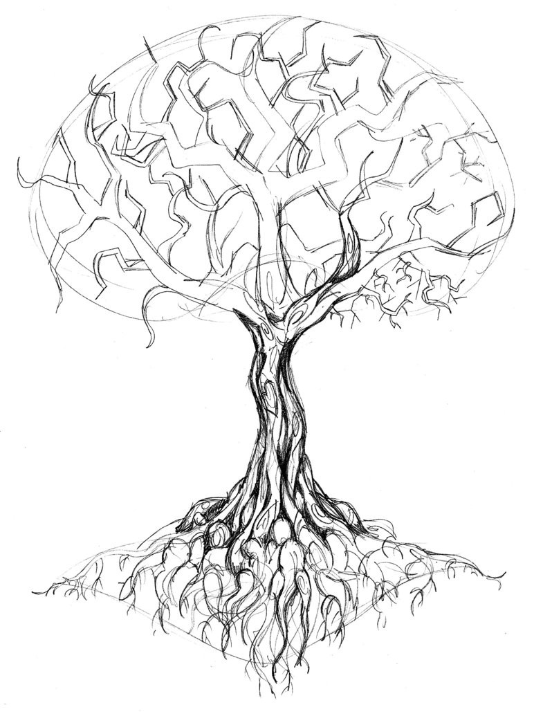 772x1035 Outline Oak Tree Tattoo Design - Oak Tree Outline Drawing