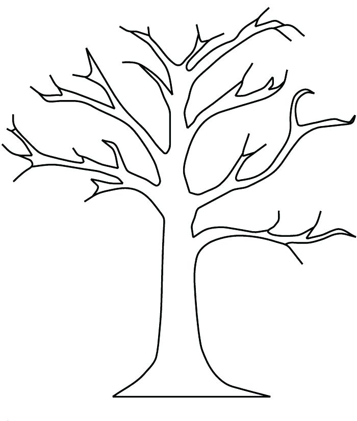 Oak Tree Outline Drawing at PaintingValley.com | Explore collection of ...