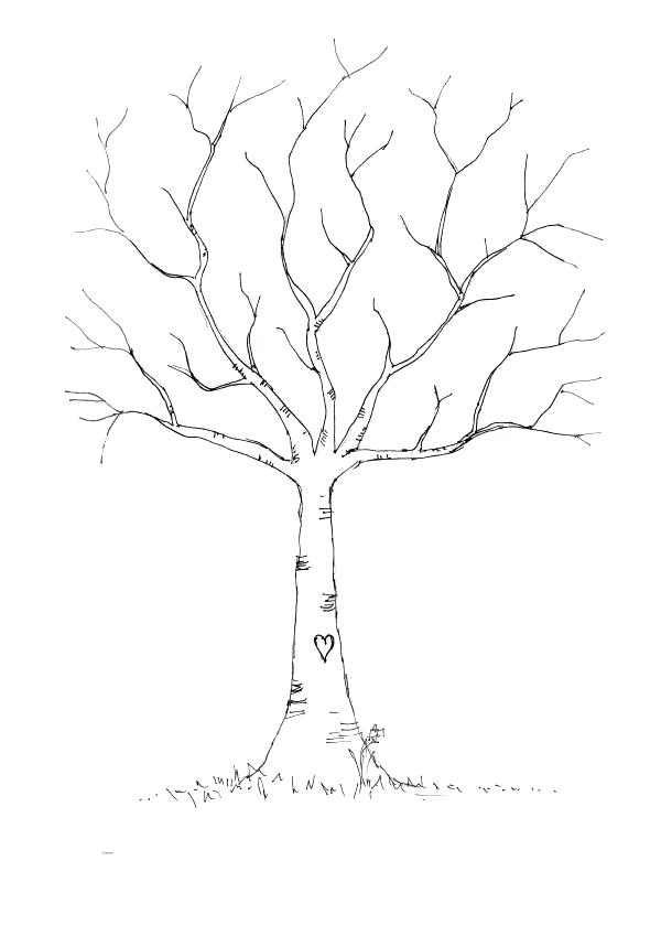 Oak Tree Outline Drawing at PaintingValley.com | Explore collection of