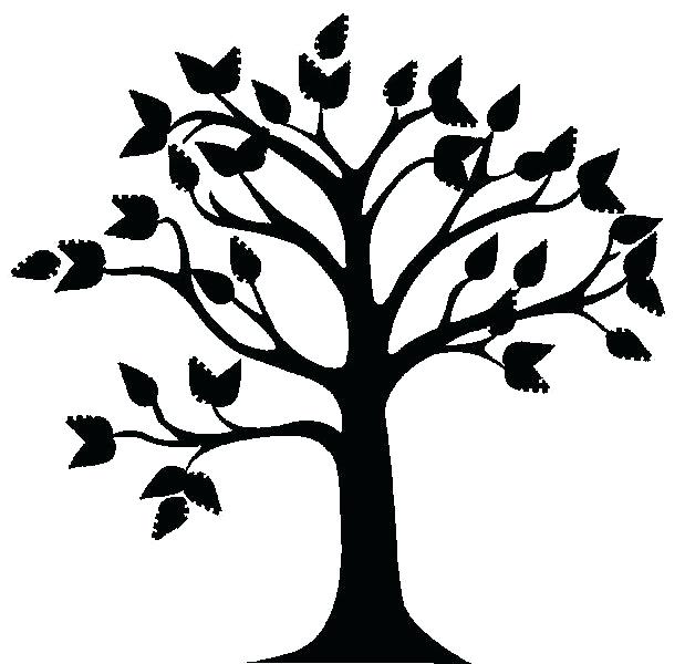619x600 Simple Tree Outline Coloring - Oak Tree Outline Drawing